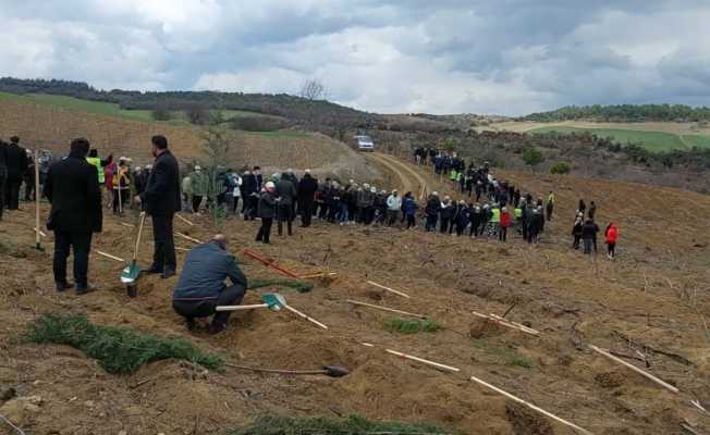 Tekirdağ’da 300 bin fidan toprakla buluşturuldu