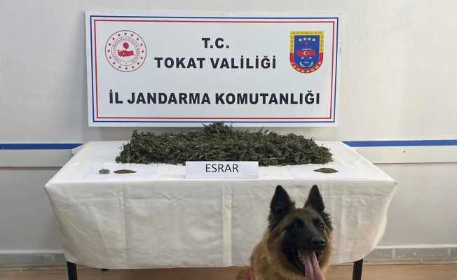 Tokat merkezli 3 ilde uyuşturucu operasyonu: 24 kişi gözaltı