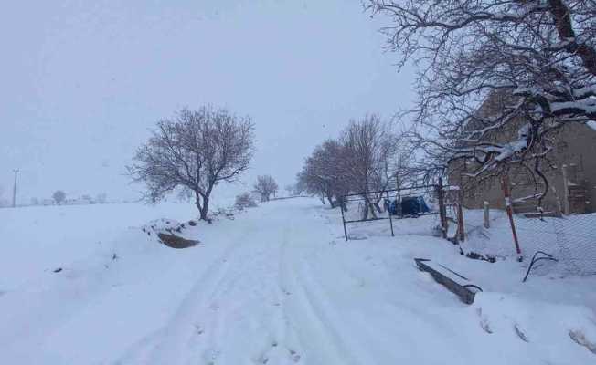 Tunceli’de 250 köy yolu ulaşıma kapandı