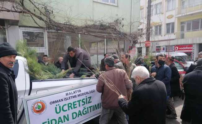 Ücretsiz fidana ilgi