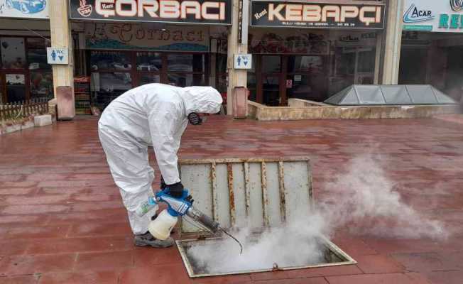 Ürgüp Belediyesinden  haşerelere karşı kışlak mücadelesi
