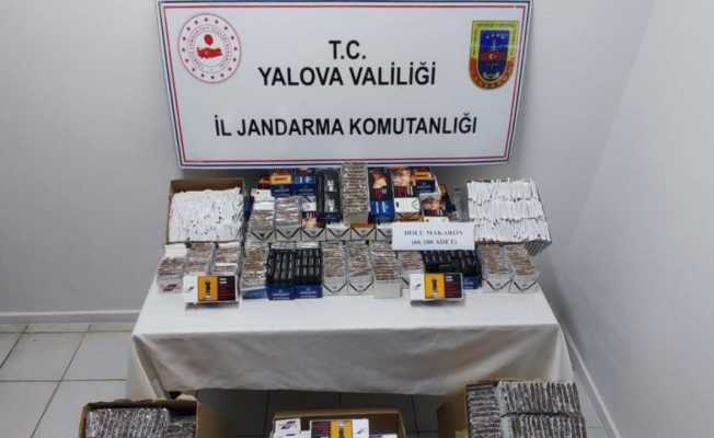 Yalova’da 66 bin 100 adet dolu makaron ele geçirildi