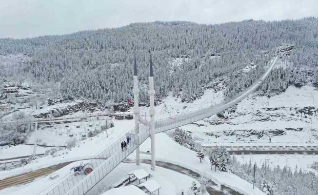 Yaz aylarında ziyaretçi akınına uğrayan asma köprü çöktü
