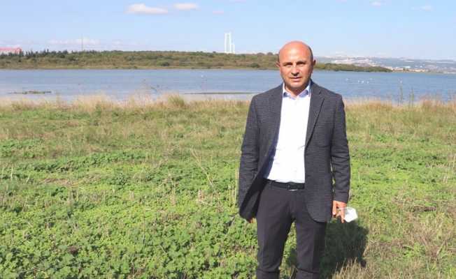 Yeşil Altınova için her yıl 3 bin fidan toprakla buluşuyor