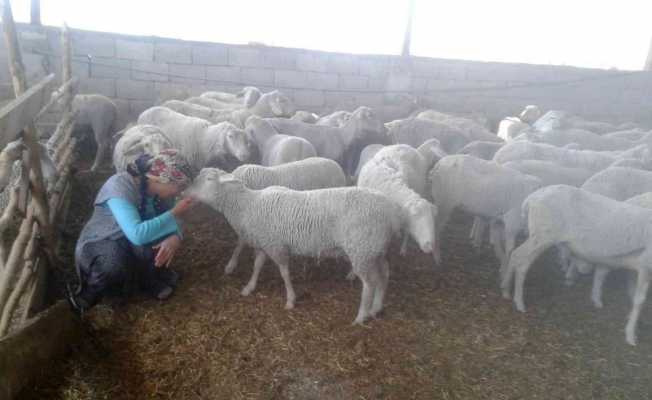 Yolu kapatılan besici kadın açlık grevine başladı