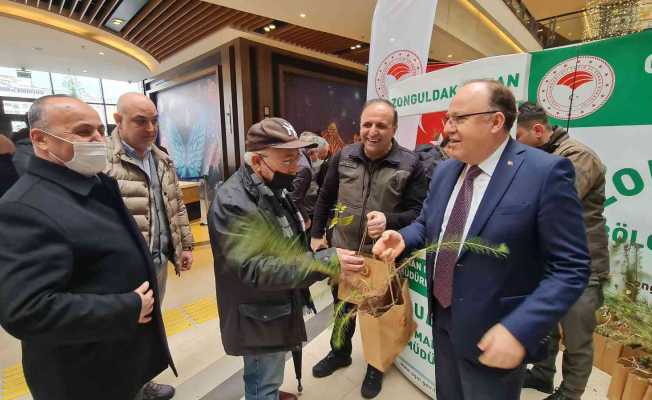 Zonguldak’ta vatandaşlara bin adet fidan dağıtıldı