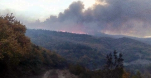 Balıkesir’de orman yangını