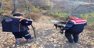 Niksar’da kaybolan Alzheimer hastası 13 gündür aranıyor