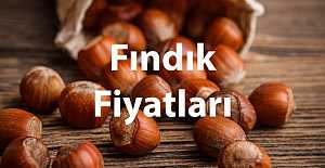 Fındık fiyatı yerinde sayıyor