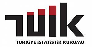 TÜİK Kültür ekonomisi verilerini açıkladı