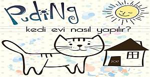 Puding - Kedi Evi Nasıl Yapılır Sosyal Sorumluk Projesi