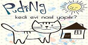 Puding - Kedi Evi Nasıl Yapılır Sosyal Sorumluk Projesi