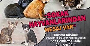 “Sokak Hayvanlarından Mesaj Var”