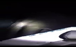 Akdeniz kıyılarında dev balina balıkçı teknesine çarptı