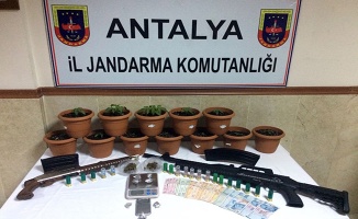 Antalya'da yeni nesil zehir operasyonu