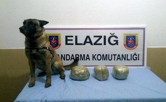 Elazığ’da jandarma toz esrar ele geçirdi