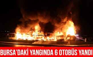 Bursa'da 6 yolcu otobüsü yandı