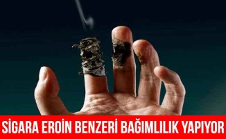 Sigara eroin benzeri bağımlılık yapıyor