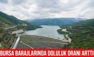 Bursa'daki barajlarında doluluk oranı arttı