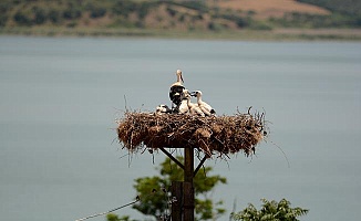 Karacabey’de ’13. Leylek Festivali’ için Geri Sayım Başladı