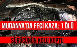 Mudanya'da otomobil ağaçlara çarptı: 1 ölü, 1 yaralı