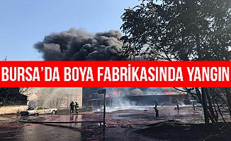 Bursa'da Boya Fabrikasında Yangın Çıktı