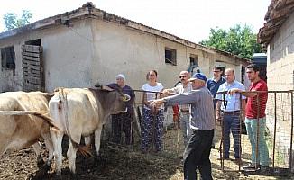 Kırklareli'de 153 Çiftçi Projesine Tam Destek Verildi