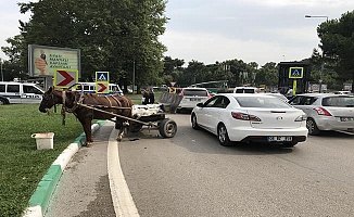 At Arabasıyla Polis Arabasına Çarptı