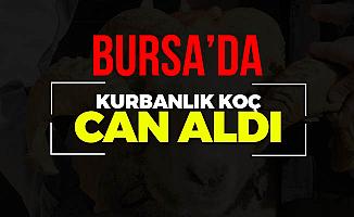 Bursa'da Koç'un Vurduğu Kadın Hayatını Kaybetti