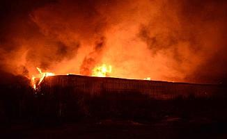 Bursa'da Mobilya Fabrikasında Yangın
