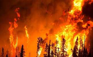 Hatay Samandağ'daki Orman Yangını Kontrol Altına Alındı