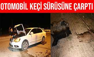 Ağrı'da Otomobil Keçi Sürüsüne Çarptı 6 Keçi Telef Oldu