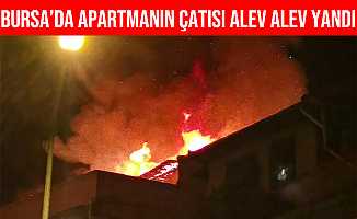 Bursa'da Apartmanın Çatısı Alev Alev Yandı