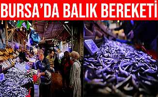 Bursa'da Balık Bereketi Yaşanıyor