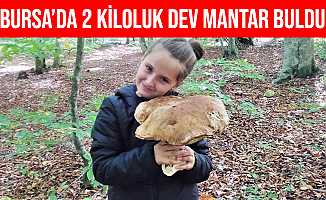 Bursa'da Küçük Kız 2 Kiloluk Dev Mantar Buldu