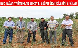 Bursa Yenişehir'de Geç Yağan Yağmurlar Soğan Üreticilerini Etkiledi