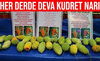 Her Derde Deva Kudret Narı Bursa'da Tezgahlarda Yerini Aldı