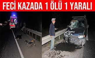 Kütahya- Eskişehir Yolundaki Trafik Kazasında 1 Ölü, 1 Yaralı