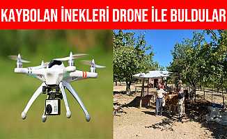 Malatya'da Kaybolan İnekler Drone İle Bulundu