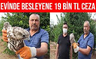 Mersin'de Evinde Şahin Besleyen Şahıs 19 bin TL Ceza Yedi