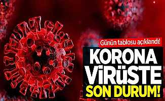 Türkiye'de Son 24 Saatte Korona Virüsten 228 Kişi Öldü