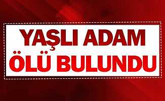 Aydın'da Ağaç Kesmeye Giden Yaşlı Adam Ölü Bulundu