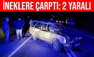 Bartın'da Otomobil Yol Kenarındaki İneklere Çarptı: 2 Yaralı