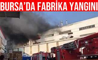 Bursa'da Organize Sanayi Bölgesi'nde fabrika yangını