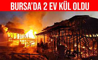 Bursa'daki yangında 2 köy evi alev alev yandı