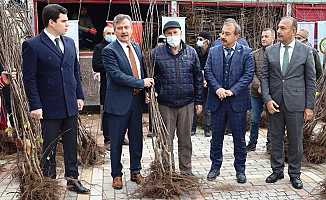 Bursa Harmancık ayva ile markalaşacak