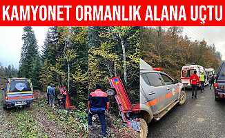 Karabük'te Kontrolden Çıkan Kamyonet Ormanlık Alana Uçtu