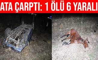 Van- Erciş Yolunda Ata Çarpan Otomobil Takla Attı: 1 Ölü 6 Yaralı