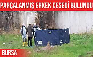 Bursa'da parçalanmış erkek cesedi bulundu
