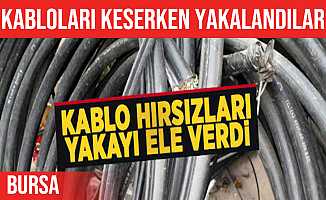 Bursa İznik'teki Kablo Hırsızları Suçüstü Yakalandı